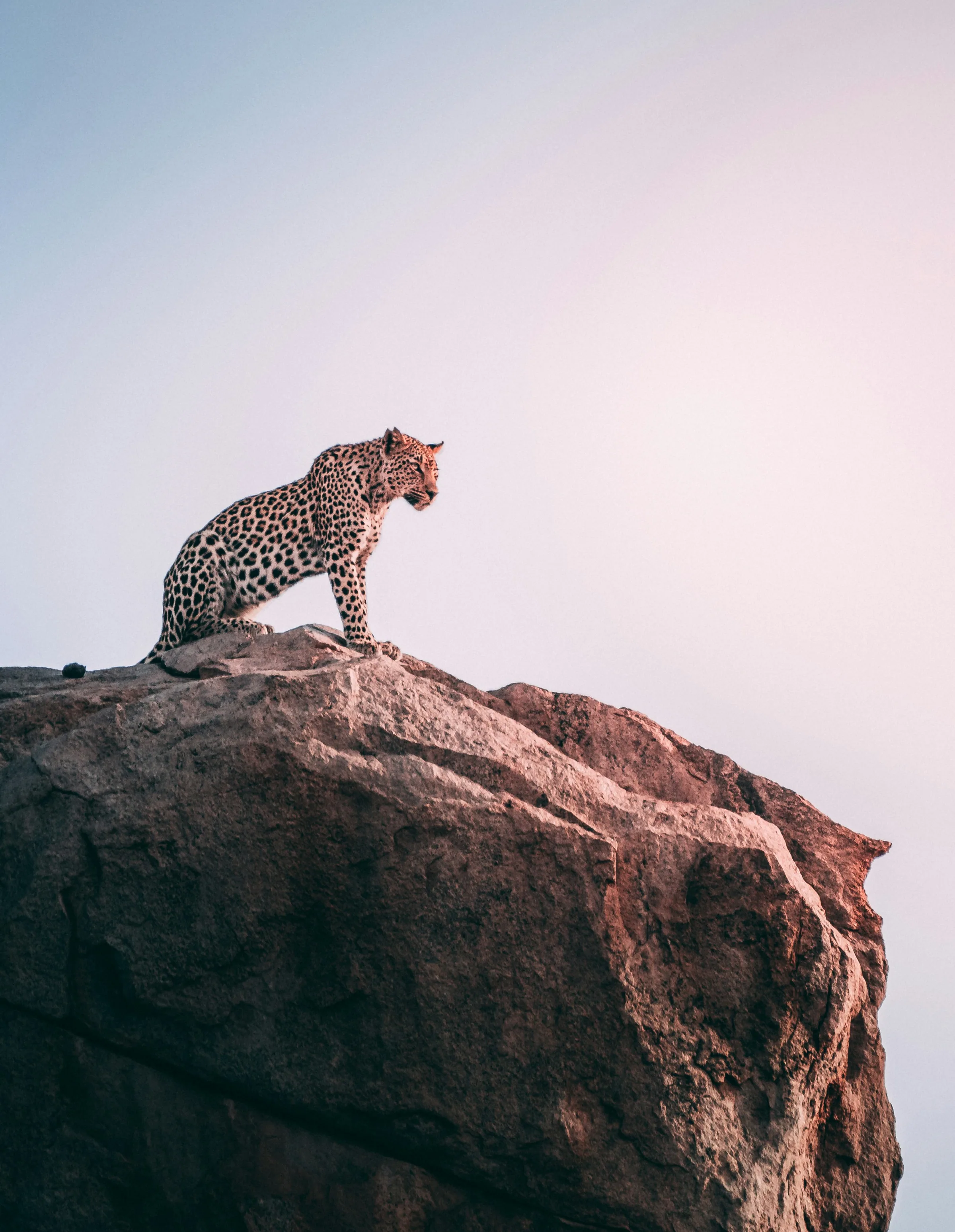 Afrique du Sud